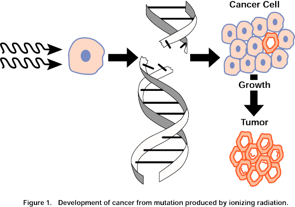 Development-of-cancer-ionizing-radiation