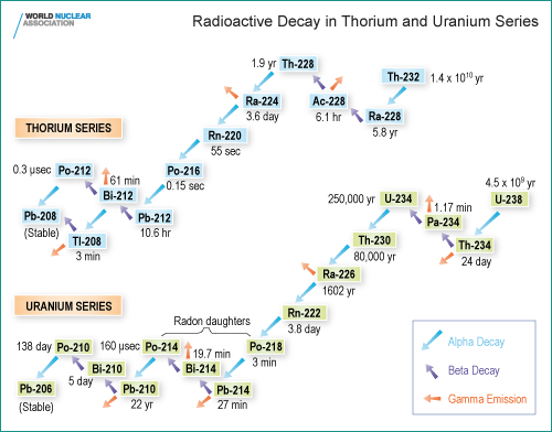 Fig. 2“Natural radioisotopes”. Thorium and Uranium series: starting from Th232 and U238 two distinct decay chains generate in Nature two series of radioactive elements. These radionuclides are concentrated in different ways in the different materials constituting the Earth's crust.