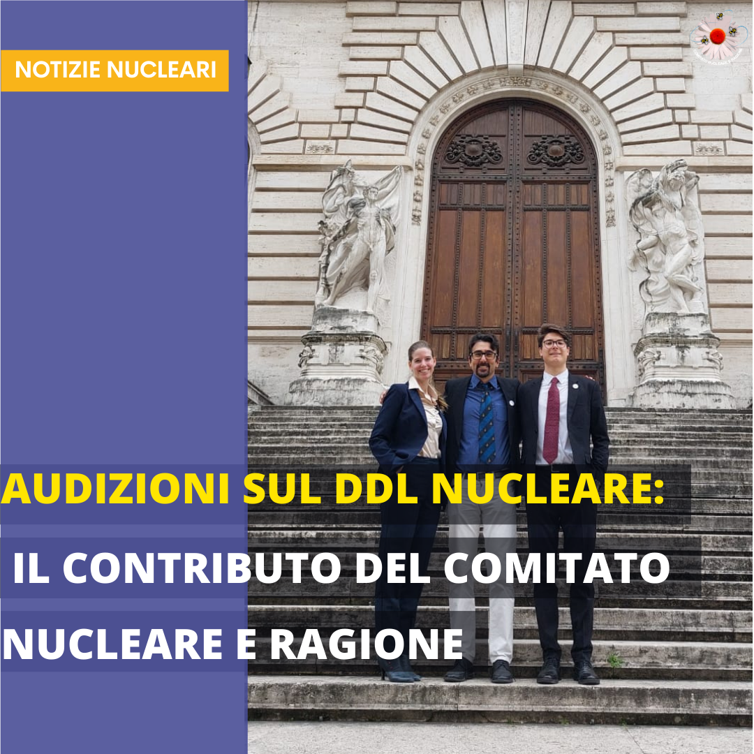nucleareeragione.org